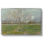Orchard in Blossom (Plum Trees), 1888 - Floater Framed Canvas Print