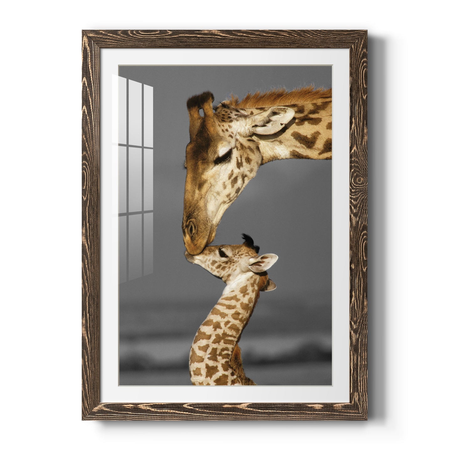 Masai Mara Giraffe Family - Premium Framed Print - Distressed Barnwood Frame - Ready to Hang