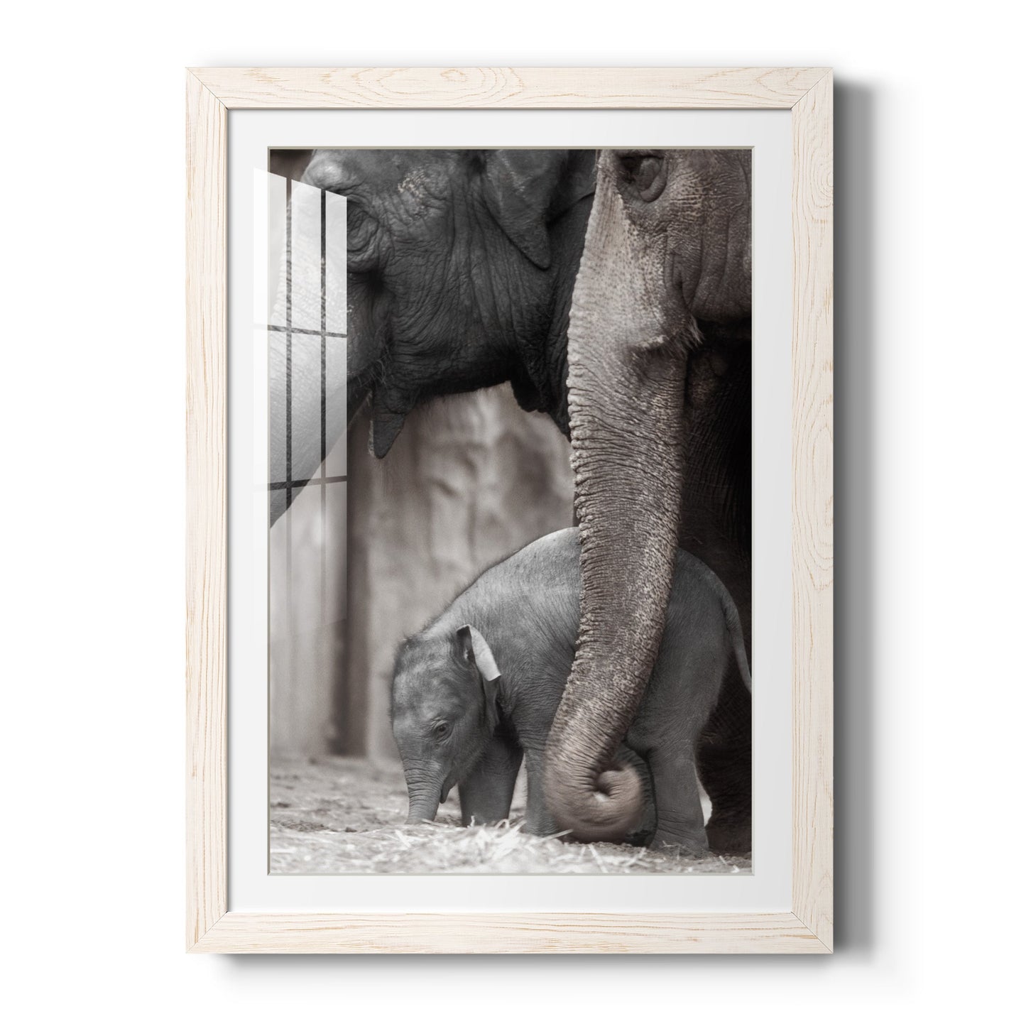 Family Moment - Premium Framed Print - Distressed Barnwood Frame - Ready to Hang