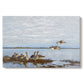 Canvas art print portraying a group of geese gathered near water in a natural wetland landscape, set against a white background