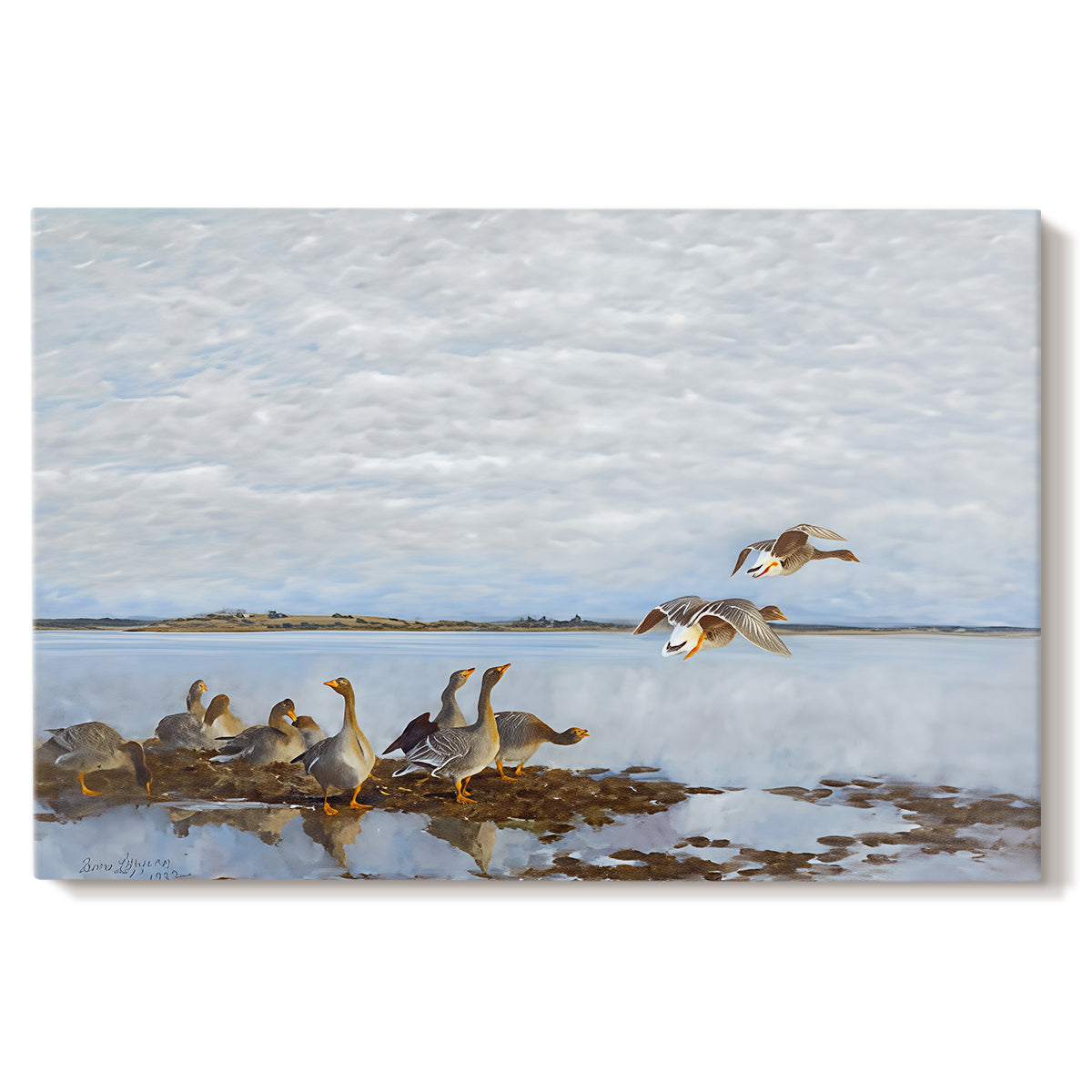 Canvas art print portraying a group of geese gathered near water in a natural wetland landscape, set against a white background