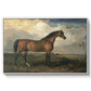 Eagle, A Celebrated Stallion, 1809 - Floater Framed Canvas Print