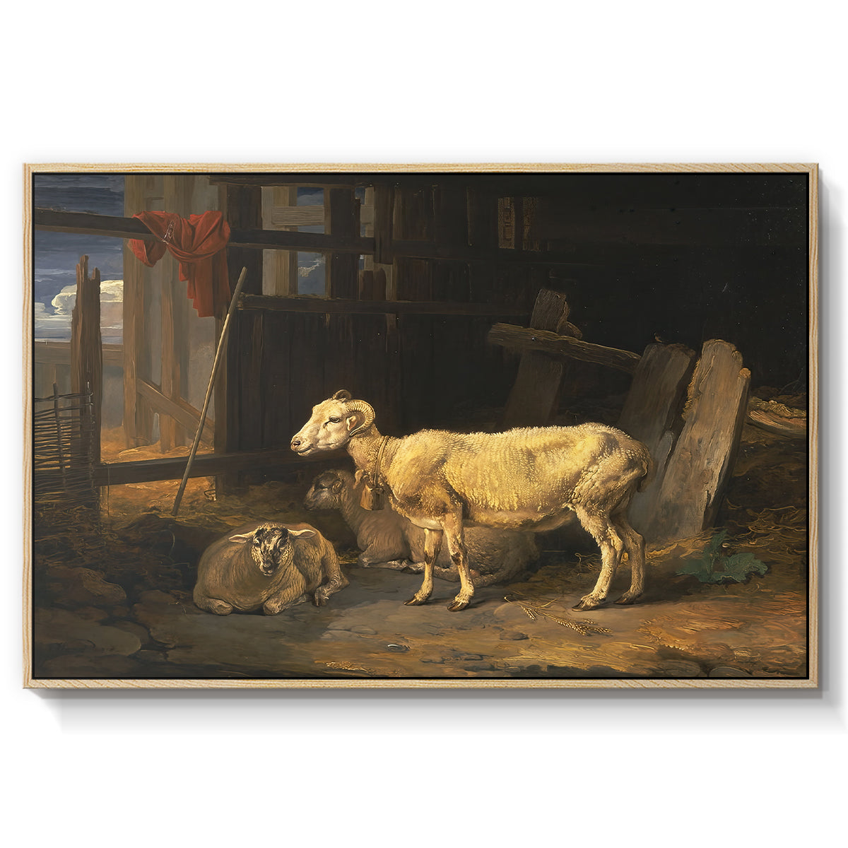 Sheep in a Stable, 1810 - Floater Framed Canvas Print