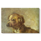 Canvas art print portraying a small dog resting with soft brushwork in warm-toned composition, set against a white background