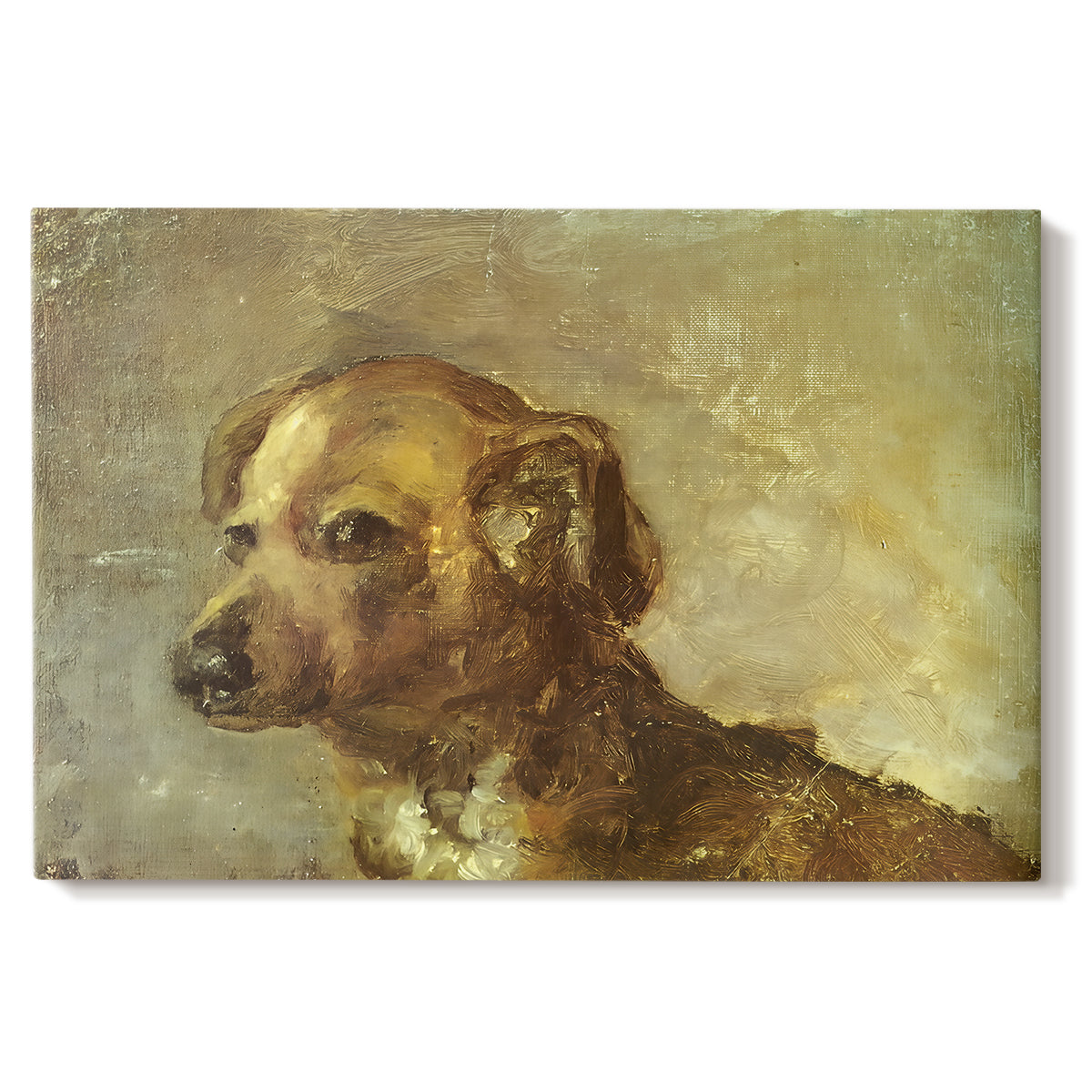 Canvas art print portraying a small dog resting with soft brushwork in warm-toned composition, set against a white background