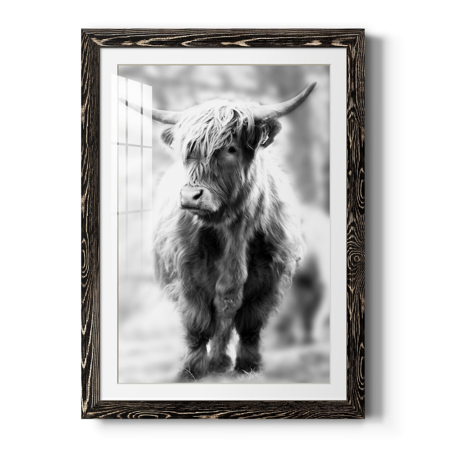 Yorkshire Highland - Premium Framed Print - Distressed Barnwood Frame - Ready to Hang