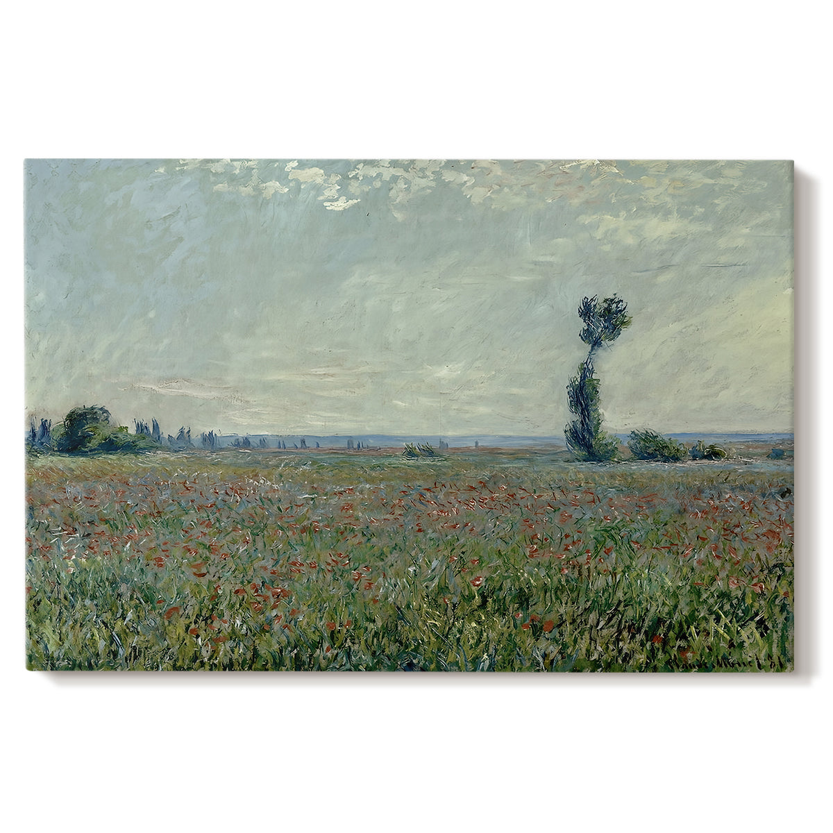 Canvas art print portraying a wide field of red poppies stretching across countryside under open sky, set against a white background