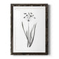 Inky Botanical II - Barnwood Framed Art Print