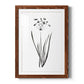 Inky Botanical II - Barnwood Framed Art Print