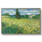 Green Wheat Field with Cypress, 1889 - Floater Framed Canvas Print