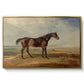 Dr. Syntax, a Bay Racehorse, Standing in a Coastal Landscape, an Estuary Beyond, c. 1820 - Floater Framed Canvas Print