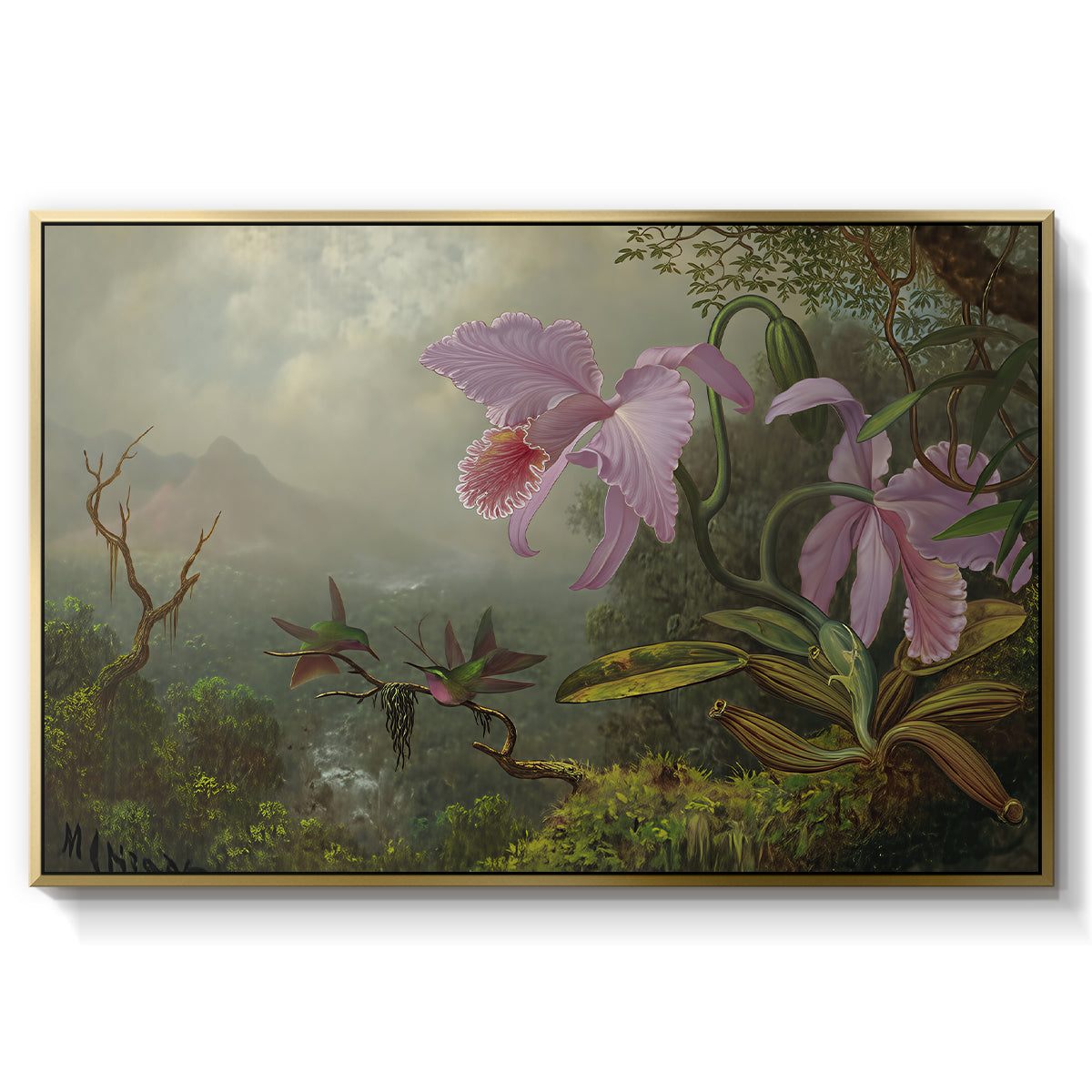Two Sun Angel Hummingbirds on a Branch, c. 1890-1904 - Floater Framed Canvas Print