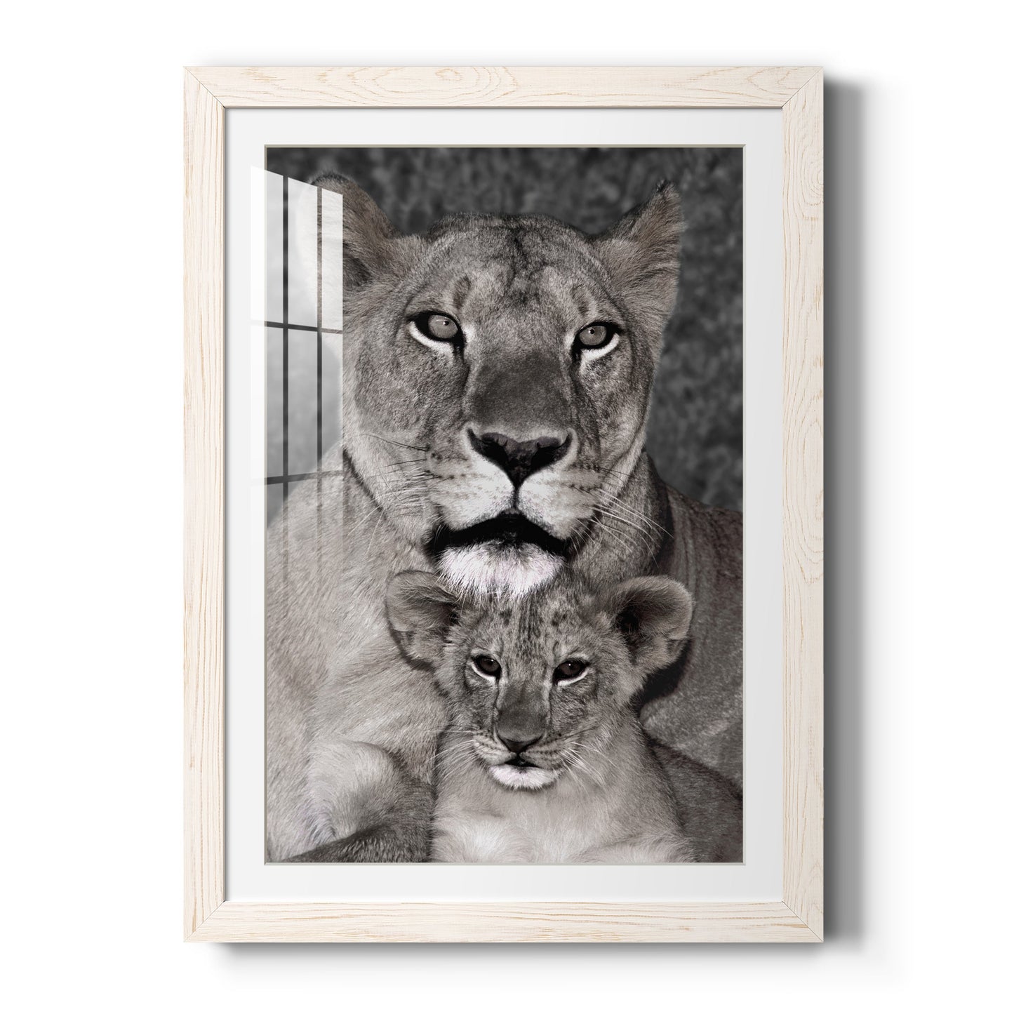 Lioness and Cub - Premium Framed Print - Distressed Barnwood Frame - Ready to Hang