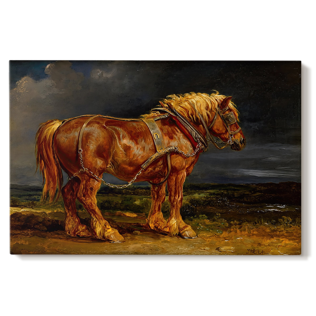 Canvas art print portraying a large shire horse standing prominently in wide open landscape, set against a white background