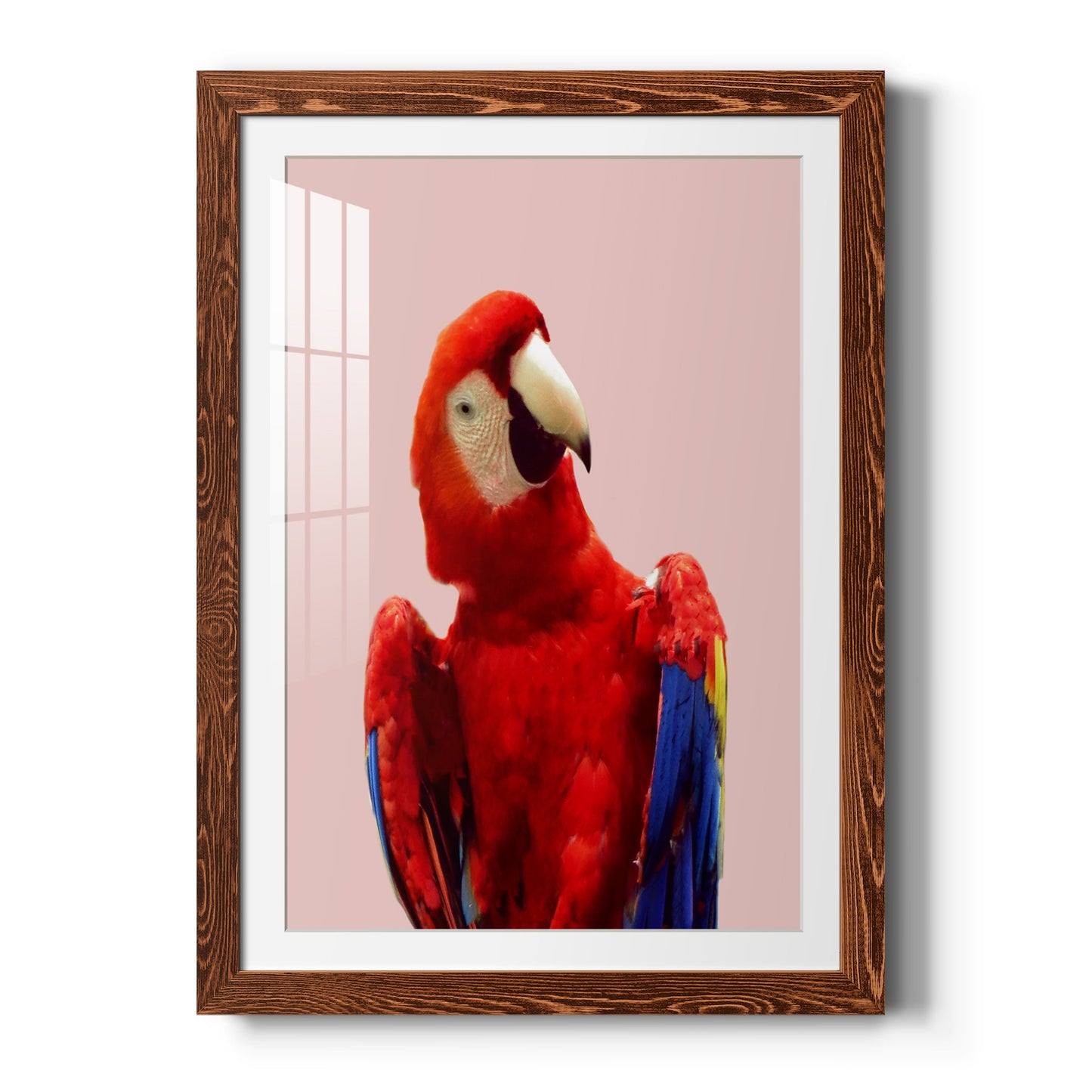 Honduras Wildlife - Premium Framed Print - Distressed Barnwood Frame - Ready to Hang