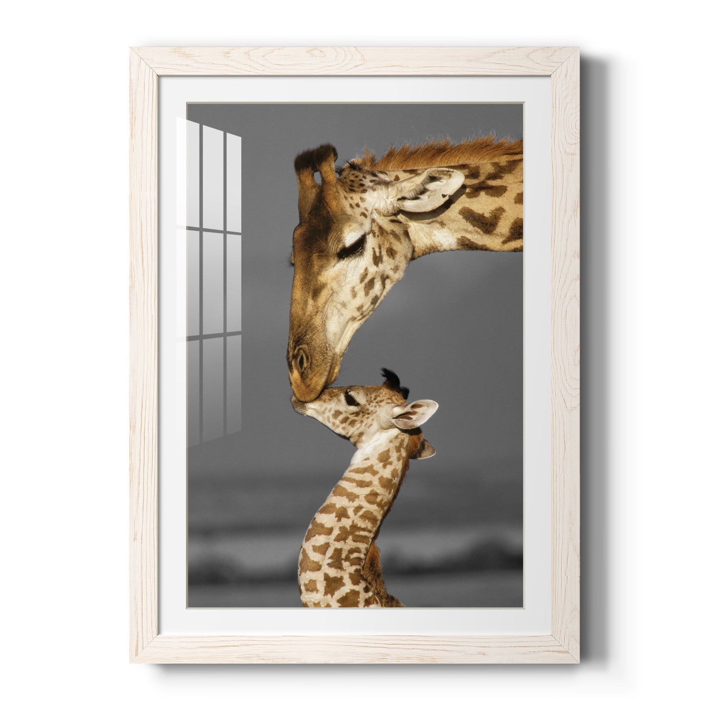 Masai Mara Giraffe Family - Premium Framed Print - Distressed Barnwood Frame - Ready to Hang