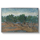 Olive Trees, 1889 - Floater Framed Canvas Print