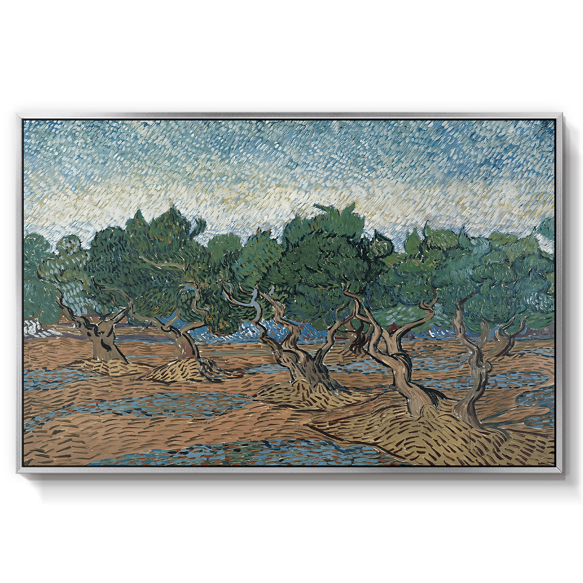 Olive Trees, 1889 - Floater Framed Canvas Print