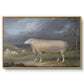 A Border Leicester Ewe, c. 1795-1800 - Floater Framed Canvas Print