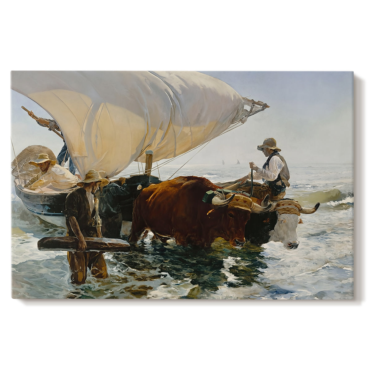 Canvas art print portraying fishermen pulling boat ashore with oxen along beach, set against a white background