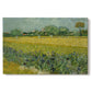 Canvas art print portraying an open field filled with irises stretching across landscape under bright sky, set against a white background