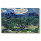 Canvas art print portraying an olive grove with twisted trees set before distant mountain range, set against a white background