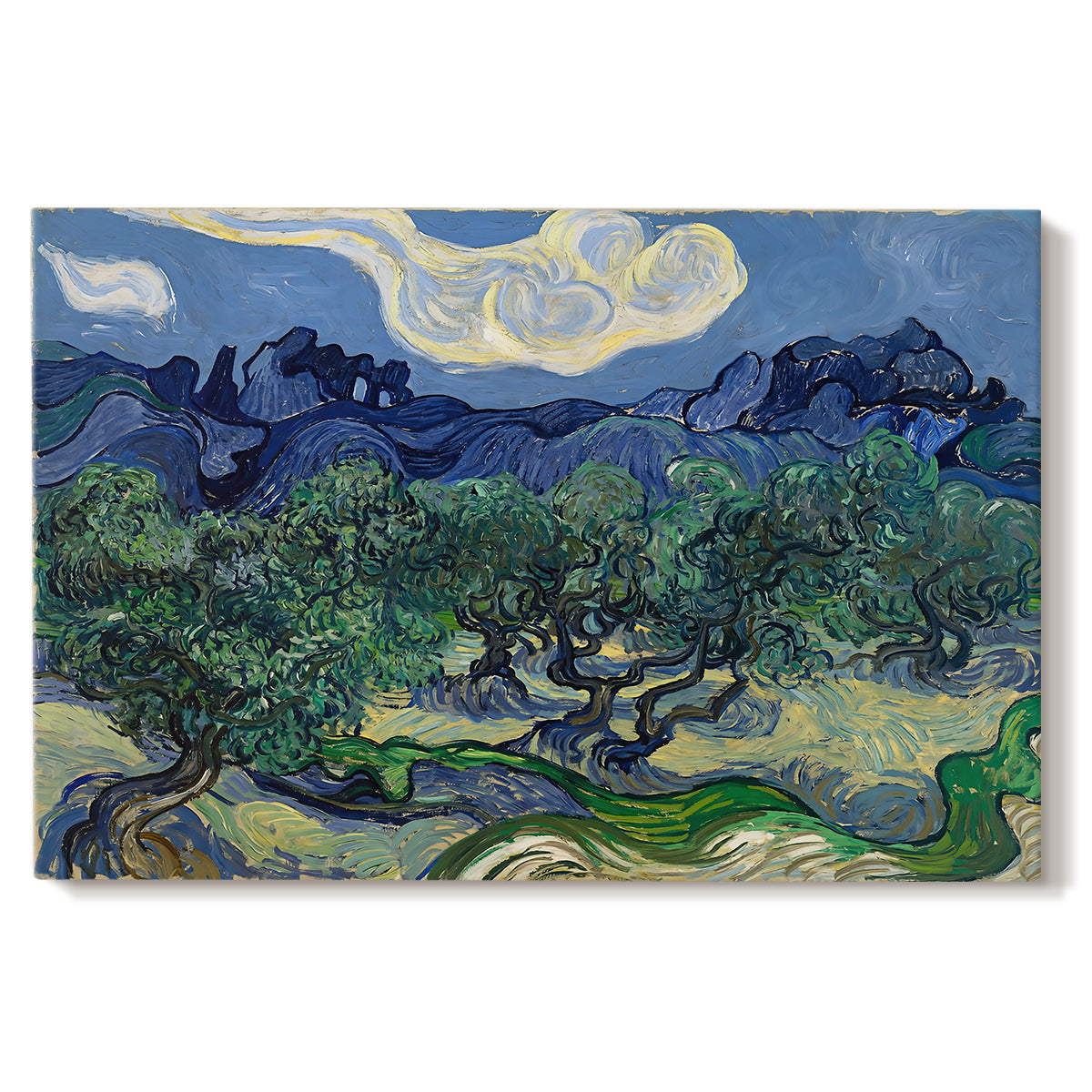 Canvas art print portraying an olive grove with twisted trees set before distant mountain range, set against a white background