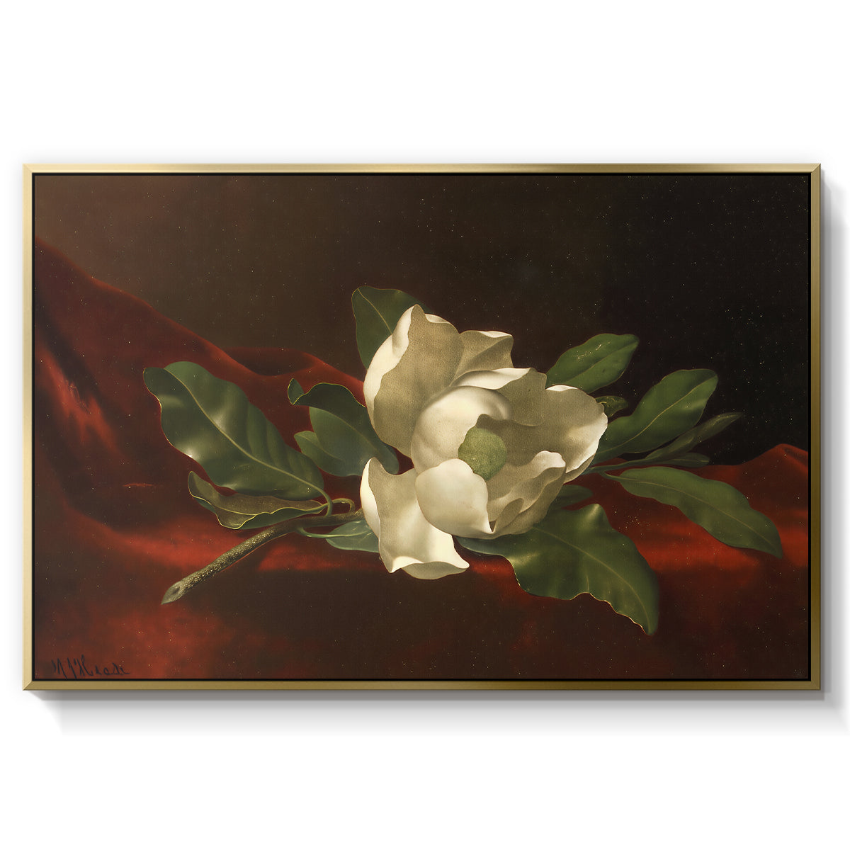 Magnolia on Red Velvet, c. 1885-1890 - Floater Framed Canvas Print