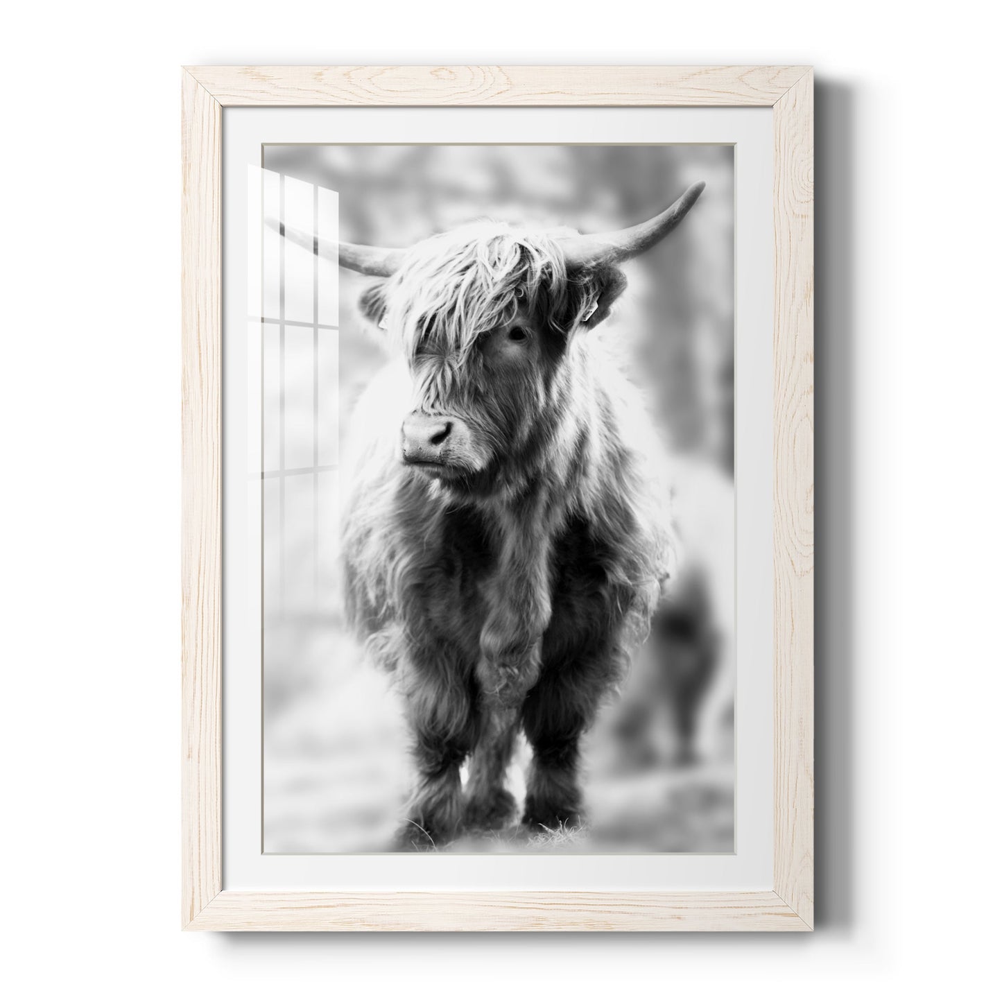 Yorkshire Highland - Premium Framed Print - Distressed Barnwood Frame - Ready to Hang