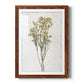 Farmhouse Pressed Flower II - Barnwood Framed Art Print