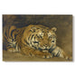 Canvas art print portraying a tiger lying in resting position with detailed form, set against a white background