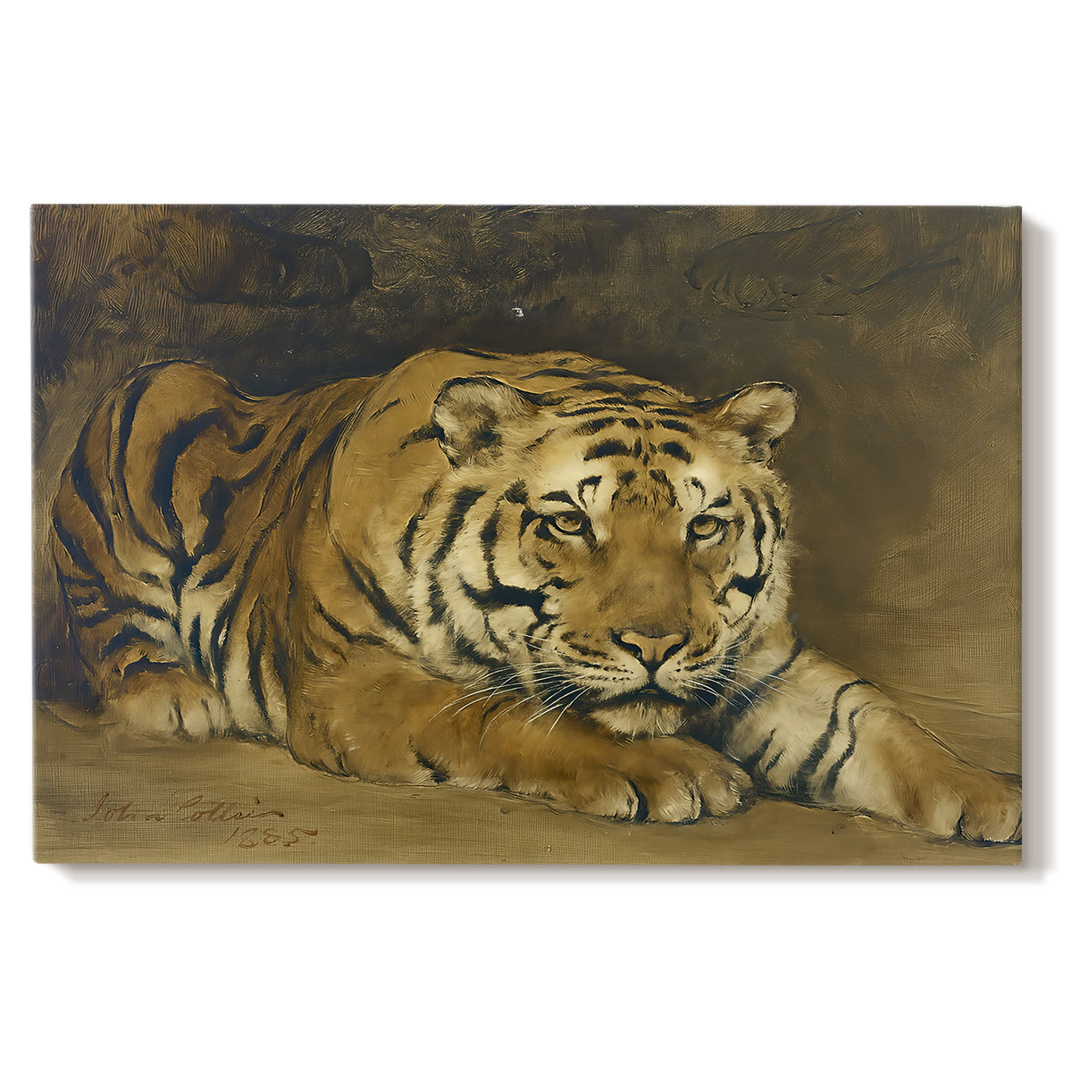 Canvas art print portraying a tiger lying in resting position with detailed form, set against a white background