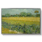 Field with Irises near Arles, 1888 - Floater Framed Canvas Print