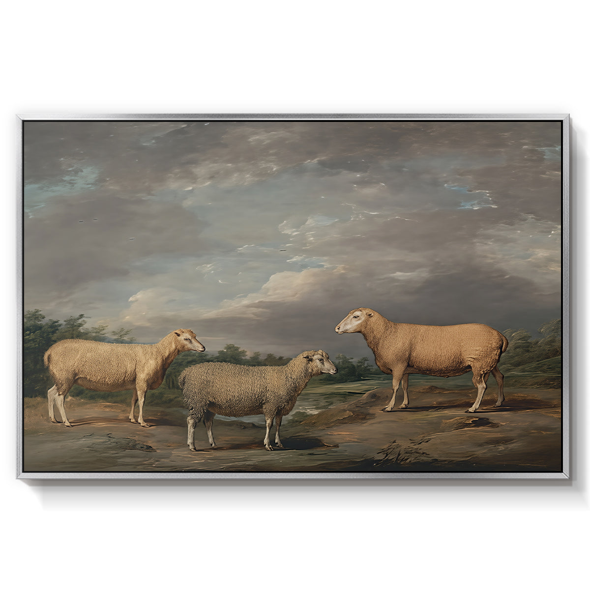 Ryelands Sheep, the King's Ram, the King's Ewe and Lord Somerville's Wether, c. 1801-1807 - Floater Framed Canvas Print