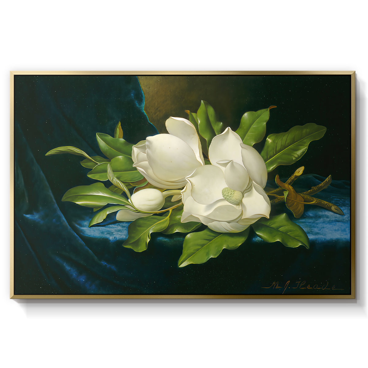 Giant Magnolias on a Blue Velvet Cloth, c. 1890 - Floater Framed Canvas Print