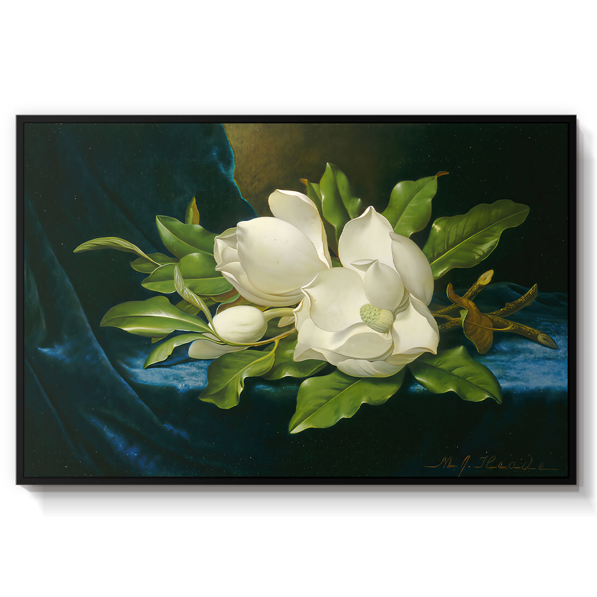 Giant Magnolias on a Blue Velvet Cloth, c. 1890 - Floater Framed Canvas Print