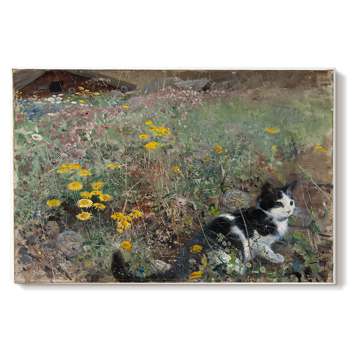 Canvas art print portraying a cat crouching in a meadow filled with wildflowers and greenery, set against a white background