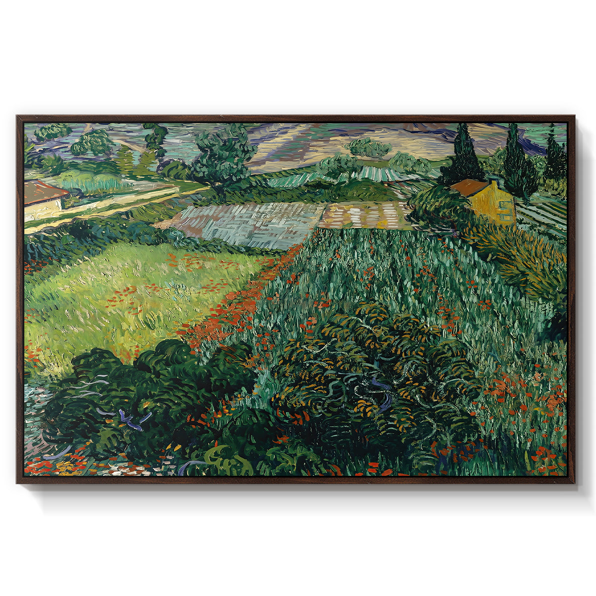 Field with Poppies, Saint-Rémy, 1889 - Floater Framed Canvas Print
