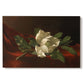 Canvas art print portraying a white magnolia bloom resting on red velvet surface, set against a white background