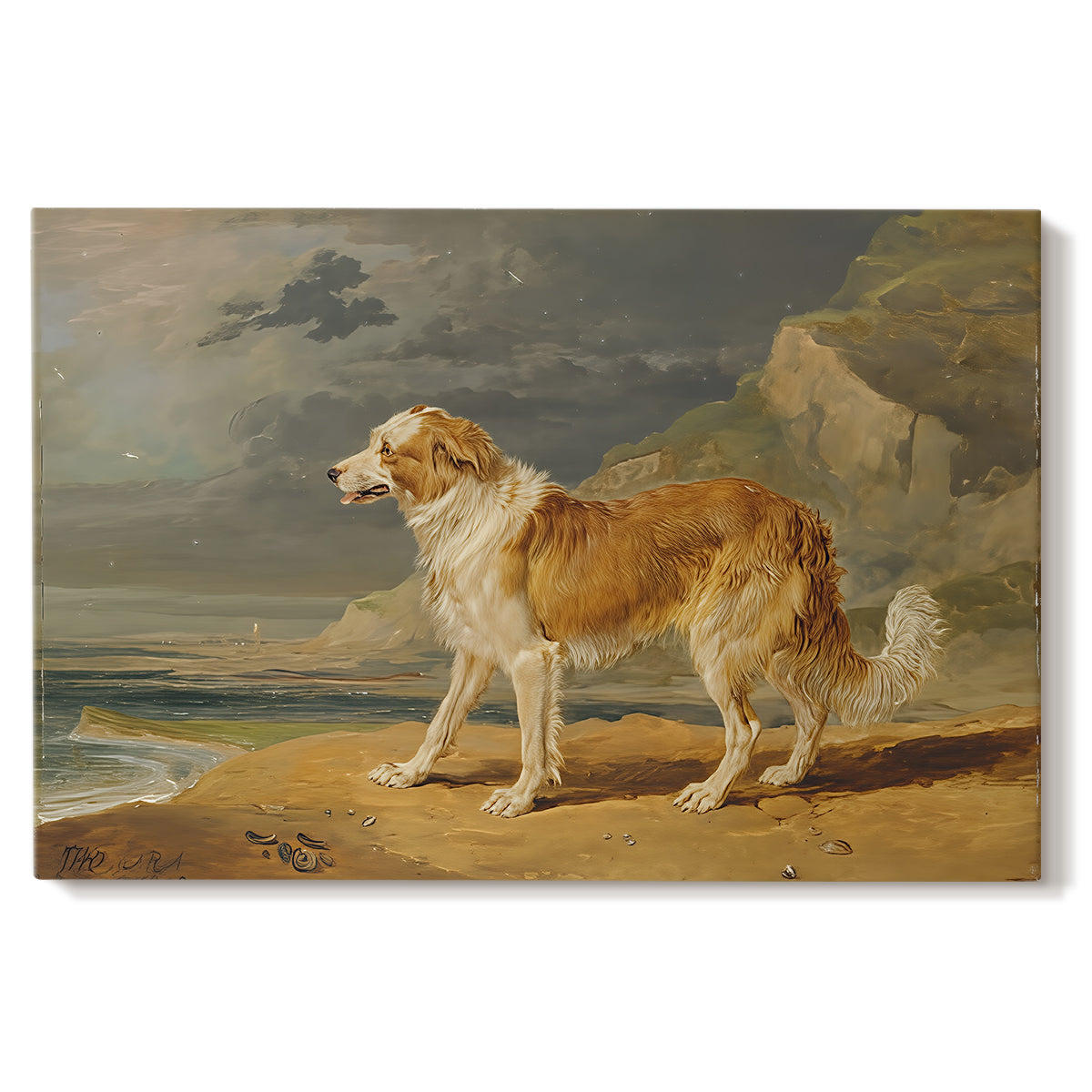 Canvas art print portraying a collie dog standing alert in open landscape, set against a white background