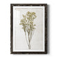 Farmhouse Pressed Flower II - Barnwood Framed Art Print