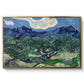 Olive Trees with the Alpilles in the Background, 1889 - Floater Framed Canvas Print