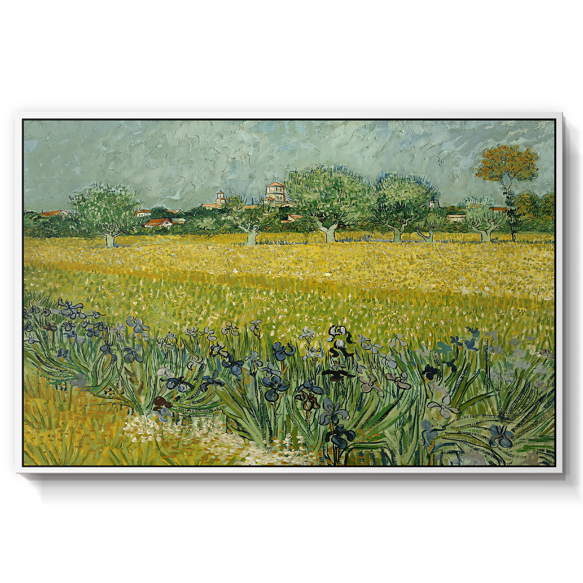 Field with Irises near Arles, 1888 - Floater Framed Canvas Print
