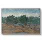 Olive Trees, 1889 - Floater Framed Canvas Print