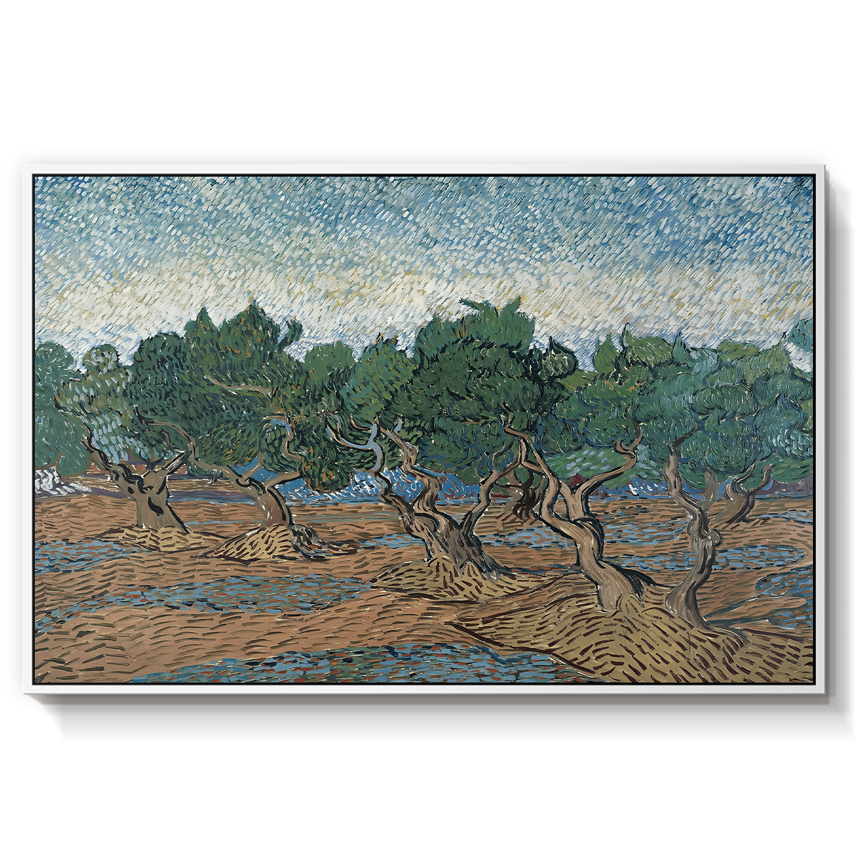 Olive Trees, 1889 - Floater Framed Canvas Print