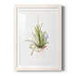 Gardenaire II - Premium Framed Print - Distressed Barnwood Frame - Ready to Hang