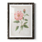 Grandiflora II - Premium Framed Print - Distressed Barnwood Frame - Ready to Hang