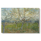 Canvas art print portraying an orchard in bloom with pink blossoms across soft landscape, set against a white background