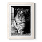 Tiger Repose - Premium Framed Print - Distressed Barnwood Frame - Ready to Hang