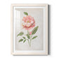 Grandiflora III - Barnwood Framed Art Print
